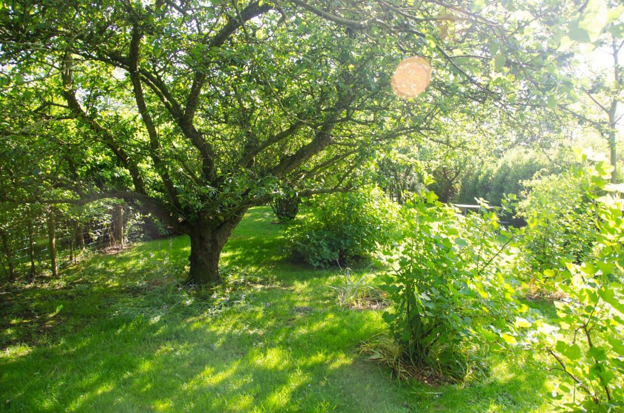 1 Hope Cottage Spilsby Eksteriør bilde